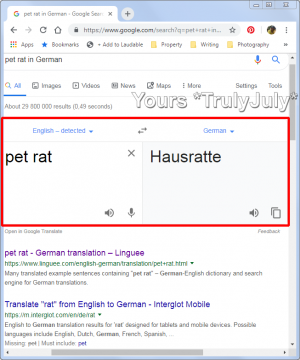 The translation of 'pet rat' into German: https://trulyjuly.wordpress.com/2019/06/19/the-translation-of-pet-rat-into-german.