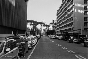 Shot in the EUR district of Rome.  Development info:Kodak T-Max 100 @ 64ISOSpur HRX  1:17 dilution, 