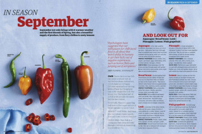 Super Food Ideas September 2017 (3)