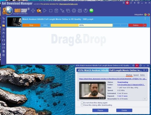 Download Tool 002 Ant Download Manager