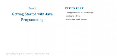 Beginning Programming with Java For Dummies (For Dummies (Computers)) 5th Edition (4)