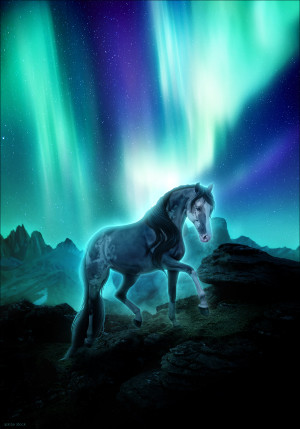Dance of the Northern Lights