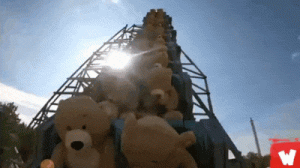 Teddy Bear Coaster