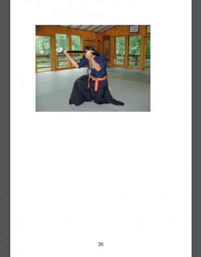 Mastering the Samurai Sword A Full Color, Step by Step Guide (4)