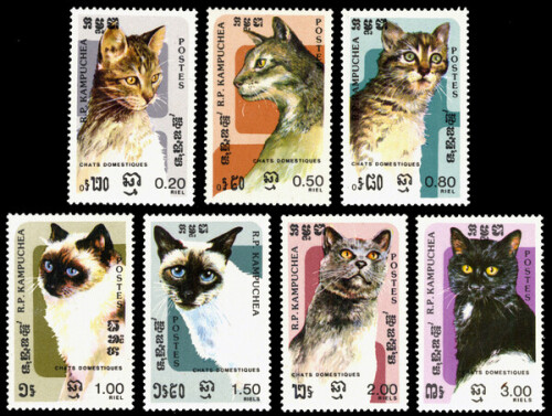 Cambodia 1985 589 595 Cats