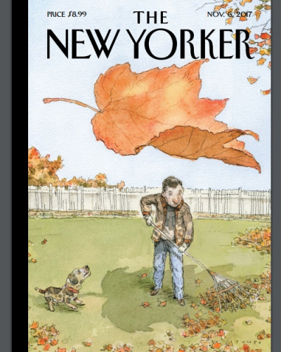 The New Yorker November 06, 2017 (5)