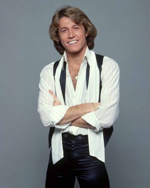 andy gibb49339