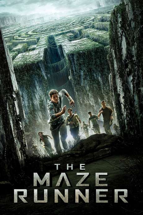 142549 the maze runner 0 460 0 690 crop