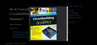 Circuitbuilding Do It Yourself For Dummies (1)