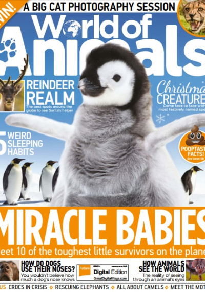 World of Animals UK Issue 54 January 2018 (1)