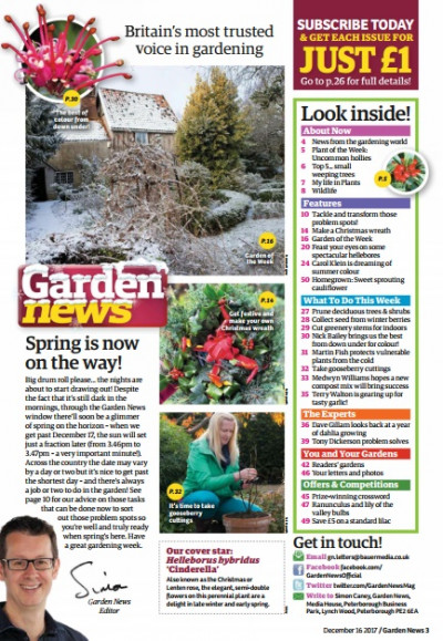 Garden News December 16 2017 (3)
