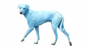 i31ba7.png