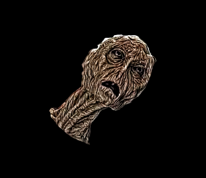 head