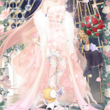 iLWwv1