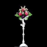 iNB8hb