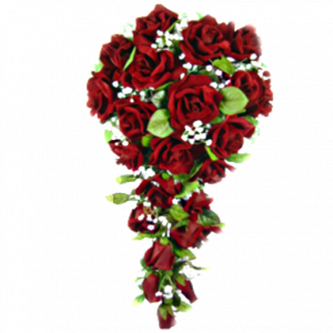 iNqXzo.png