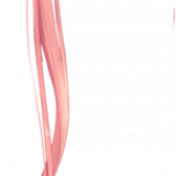 iQrEkQ