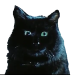 ijyS80.png