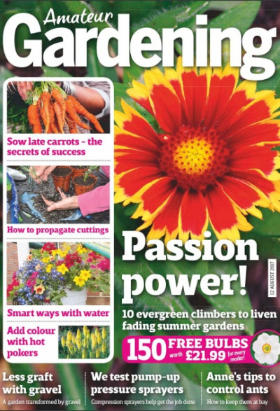 Amateur Gardening 12 August 2017 (1)