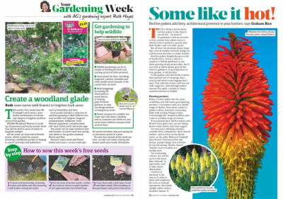 Amateur Gardening 12 August 2017 (4)