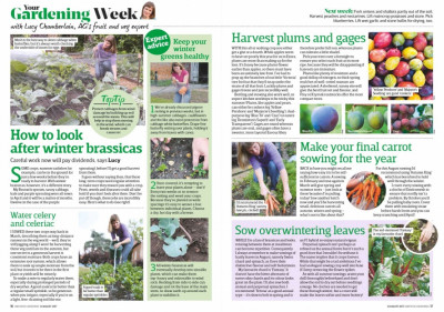 Amateur Gardening 12 August 2017 (3)