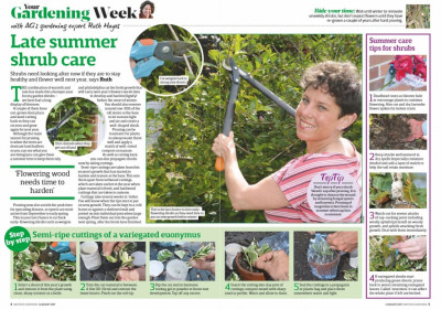 Amateur Gardening 12 August 2017 (2)