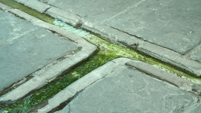 is032.jpg