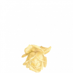 jA7MWe.png