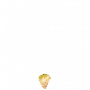 jA7Y9k.png