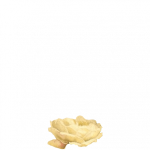 jA7vDa.png