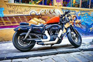 Harley