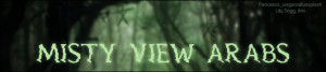 jVM4qo.jpg