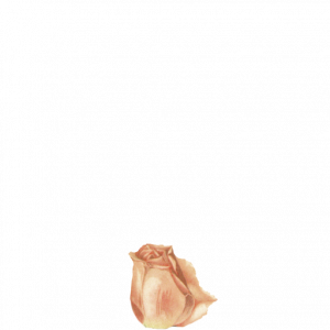 jWDMSA.png