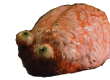 jWNAo2.png