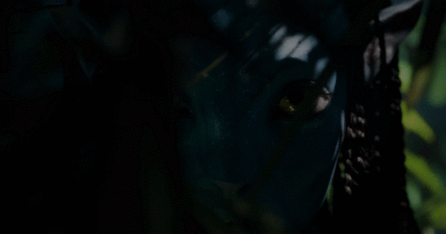 kBlsk3.gif