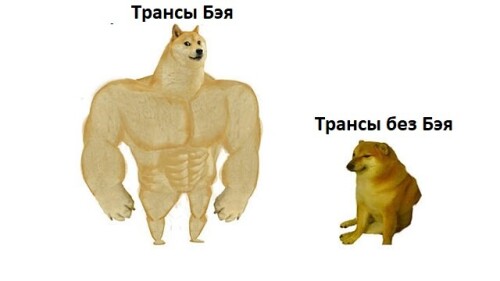 kZP5VA.jpeg