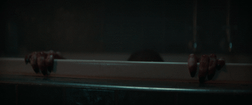 kjQdPa.gif