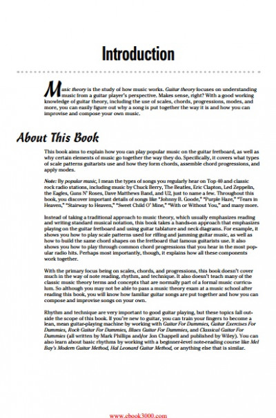 Guitar Theory For Dummies (4)