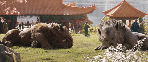 kqJL3c.gif