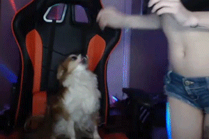 kqslci.gif