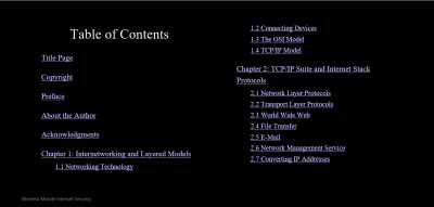 Wireless Mobile Internet Security (2)
