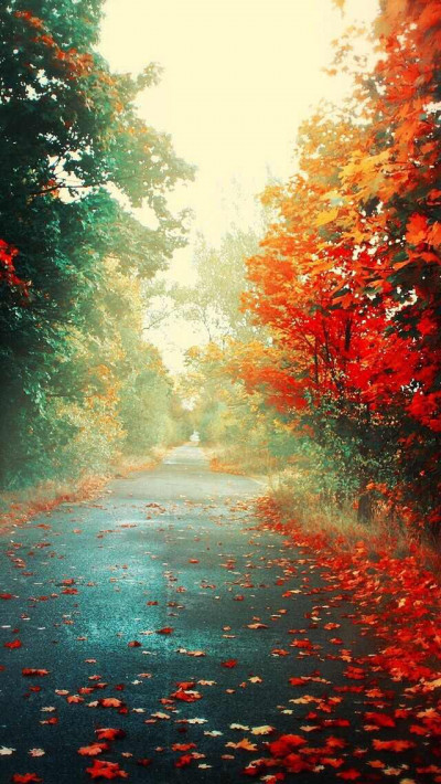 Mobile Phone background image 110 eqzDE3K High definition Smartphone Wallpaper