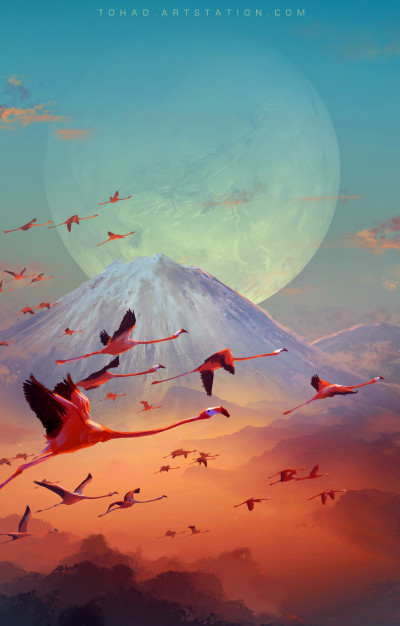 Mobile Phone background image 104 k2pidgW High definition Smartphone Wallpaper