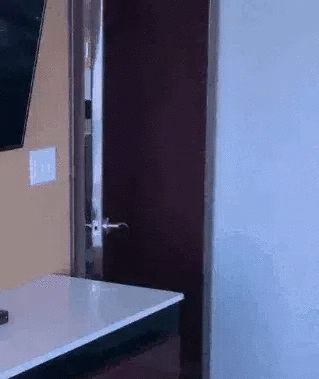lD56ka.gif
