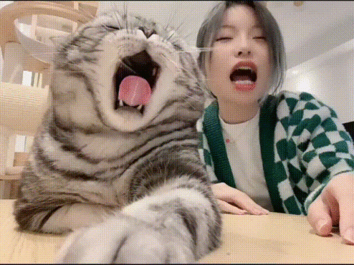 laLC8C.gif