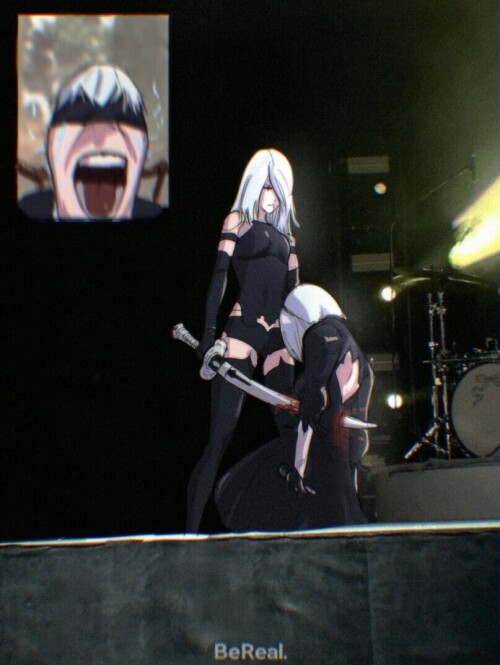 lg8iA3.jpeg