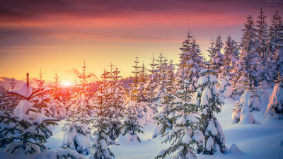 Ultra HD 4K Computer background image 819 Ab4lpLe UHD Desktop Wallpaper