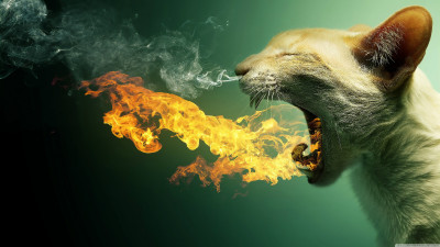 Ultra HD 4K Computer background image 808 KomRxVi High resolution UHD Desktop Wallpaper