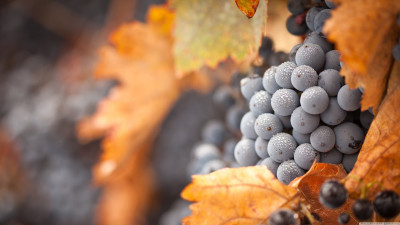 Ultra HD 4K Computer background image 807 kXYxHe2 High resolution UHD Desktop Wallpaper