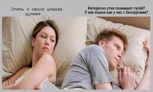 mw937x.jpeg